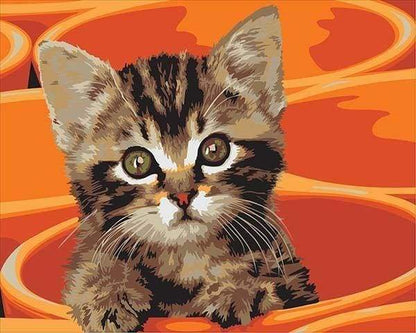 Dipinto Di Piccolo Gatto Diamond Painting