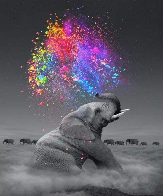 Disegno Di Elefante Colorato Diamond Painting
