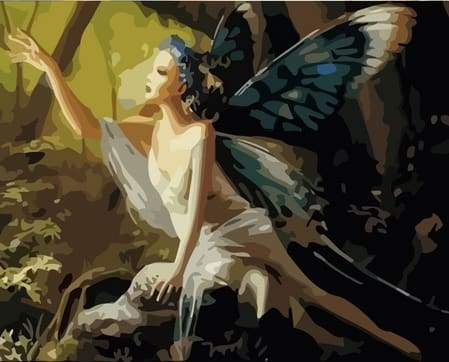 Donna Con Ali Di Farfalla Diamond Painting