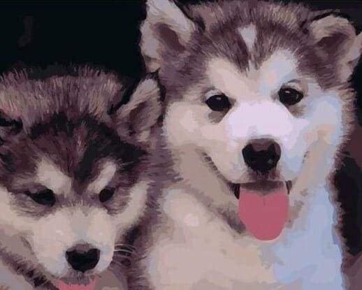 Due Cuccioli Diamond Painting