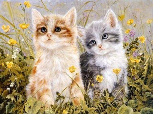 Due Gattini Diamond Painting