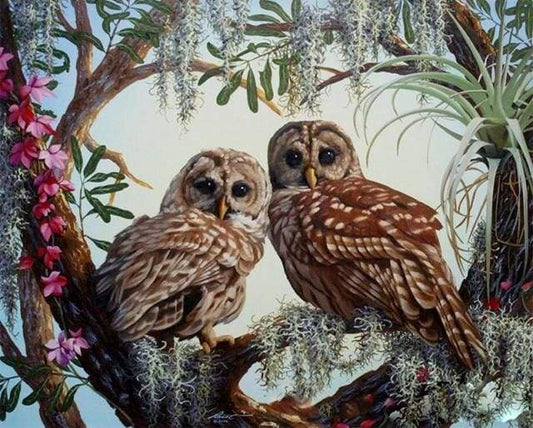 Due Gufi Diamond Painting