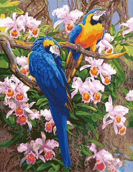 Due Pappagalli Diamond Painting
