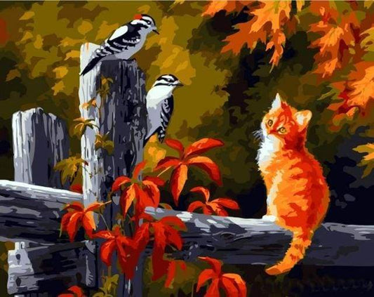 Due Uccelli E Gatto Diamond Painting