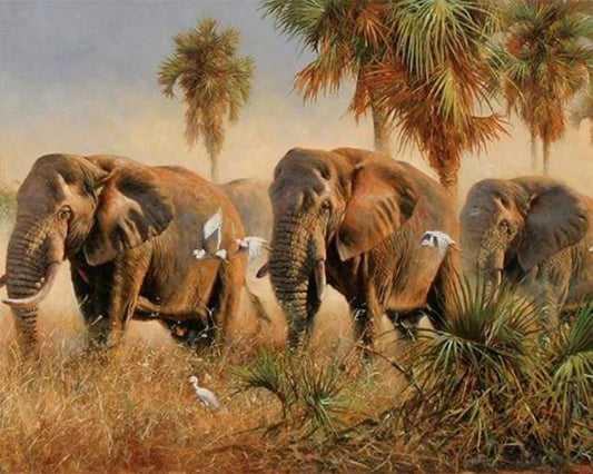 Elefanti Selvaggi Diamond Painting