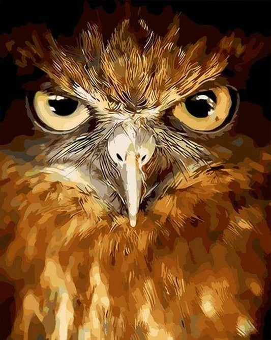 Falco Dagli Occhi Penetranti Diamond Painting