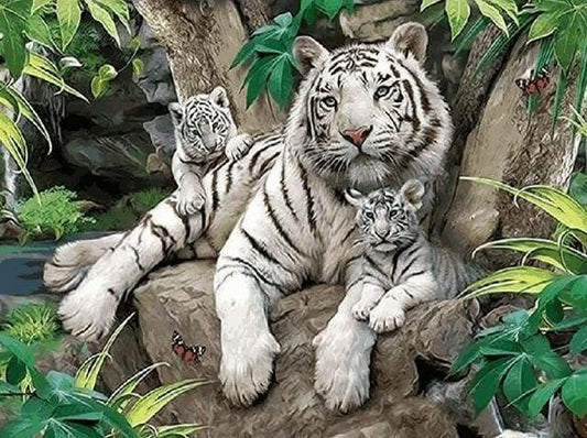 Famiglia Di Tigri Bianche Diamond Painting