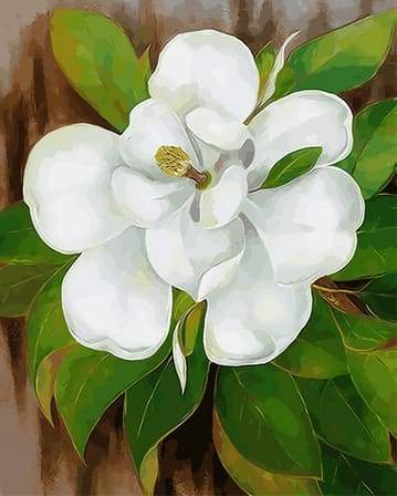 Fiore Bianco E Foglie Verdi Diamond Painting