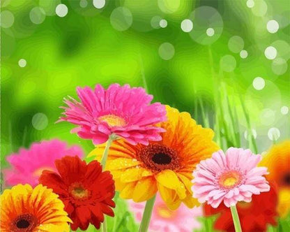 Fiori Di Primavera Diamond Painting