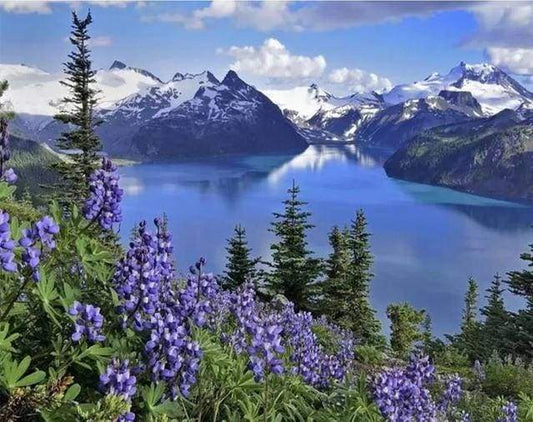 Fiori E Montagna Diamond Painting