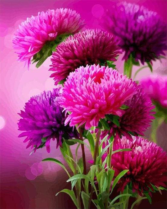 Fioritura Aster Autunnale Diamond Painting