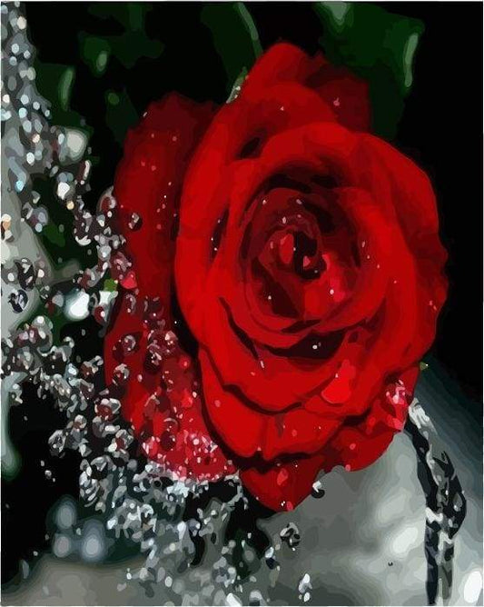 Fragranza Di Rosa Rossa Diamond Painting