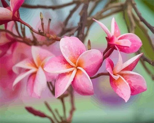 Frangipani Diamond Painting