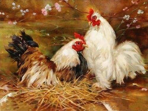 Gallina e gallo Diamond Painting | Seos Shop ®