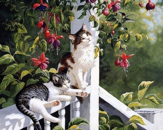 Il Colibri dei Gatti diamond painting kit completo con gatti e colibri