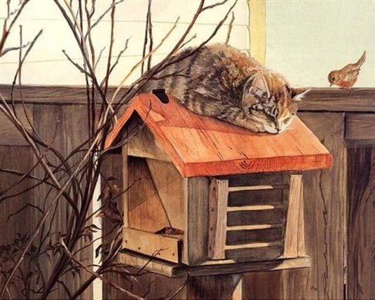 Gatto Appollaiato Diamond Painting