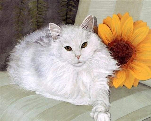 Gatto Bianco E Girasole Diamond Painting
