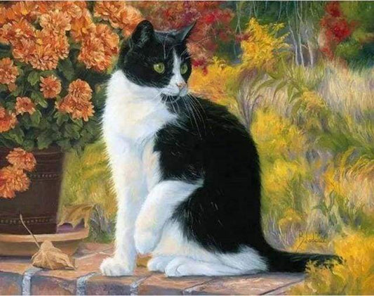 Gatto Bianco E Nero Diamond Painting