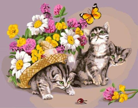 Gatto Che Gioca Con Una Farfalla Diamond Painting