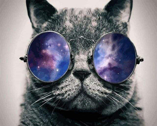 Gatto Con Gli Occhiali Da Sole Diamond Painting