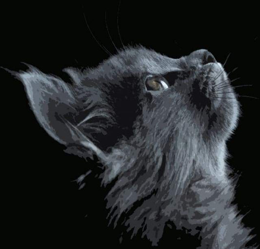 Gatto Nero Che Guarda All'Insù Diamond Painting