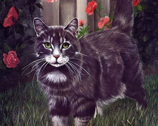 Gatto Nero Diamond Painting