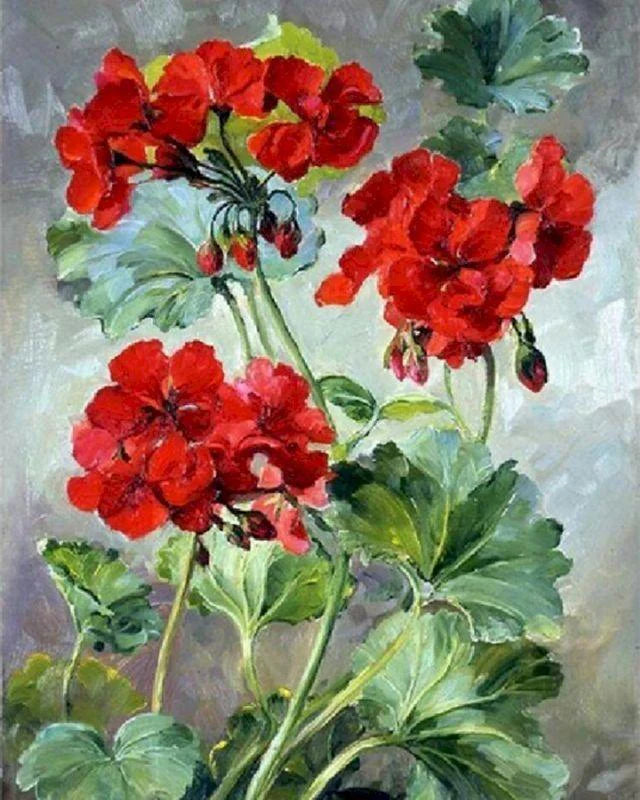 Gerani rossi Diamond Painting