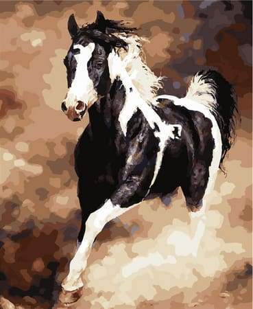 Grande Cavallo In Bianco E Nero Diamond Painting