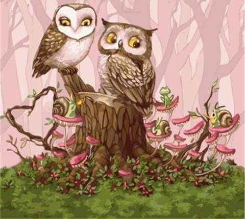 Gufi Nella Foresta Diamond Painting