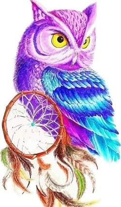 Gufo A Colori Diamond Painting