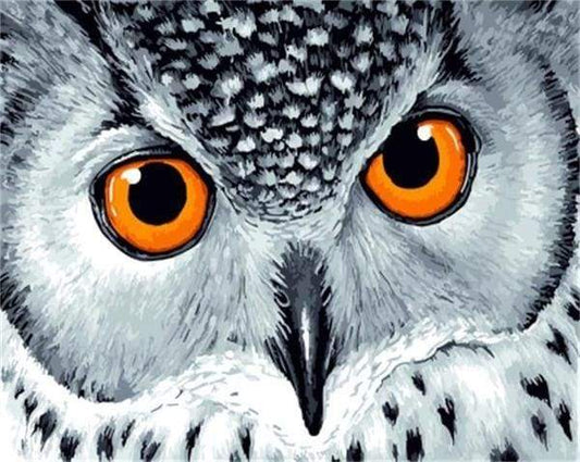 Gufo Con Gli Occhi Arancioni Diamond Painting