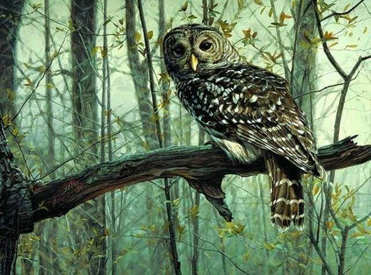 Gufo Diamond Painting