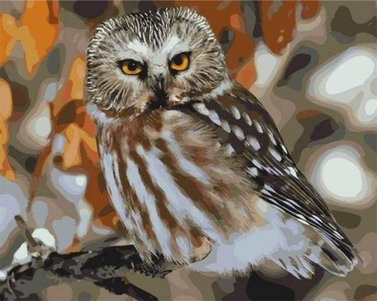 Gufo Grigio Diamond Painting