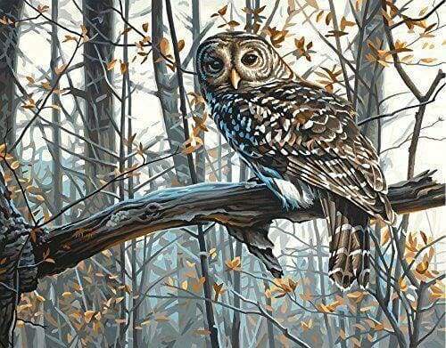 Gufo Nella Foresta Diamond Painting