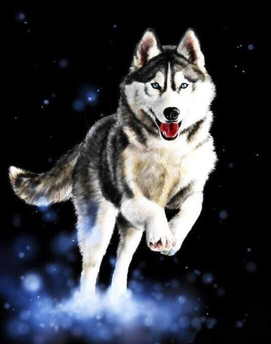 Husky Diamond Painting