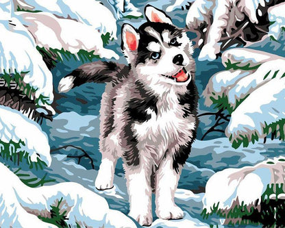 Husky nella neve Diamond Painting | Seos Shop ®
