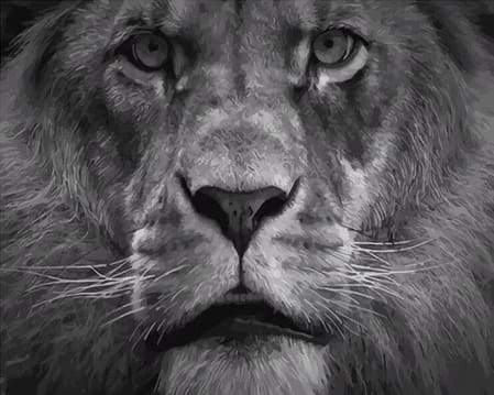 Il Grande Leone Diamond Painting