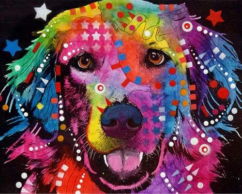 Labrador Colorato Diamond Painting