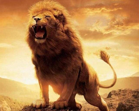 Leone In Forze Diamond Painting