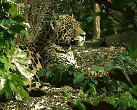 Leopardo 2 Diamond Painting