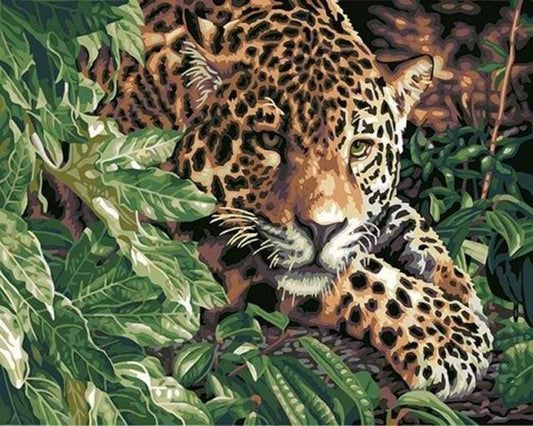 Leopardo Alla Ricerca Diamond Painting