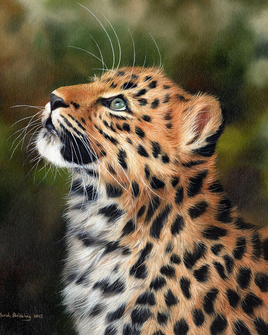 Leopardo curioso Diamond Painting | Seos Shop ®