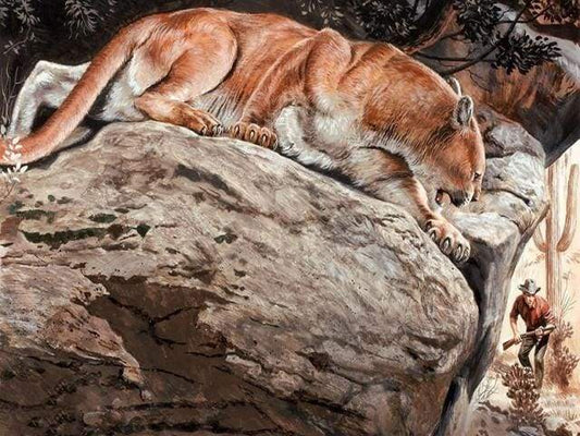 Lince Diamond Painting