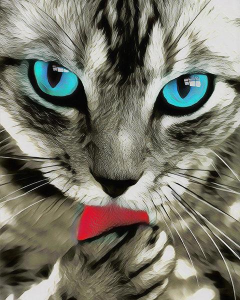 Lo sguardo del gatto Diamond Painting | Seos Shop ®