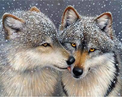 Lupi E Neve Diamond Painting