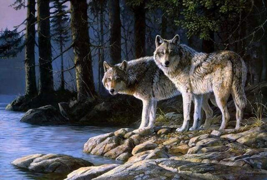 Lupi Nella Foresta Diamond Painting