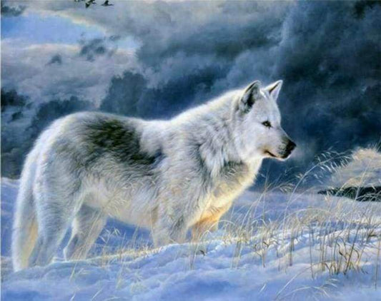 Lupo Solitario Nella Neve Diamond Painting