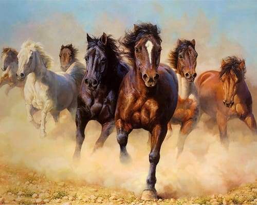 Mandria Di Cavalli Diamond Painting