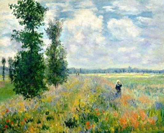 Monet Campo Di Papaveri Diamond Painting kit diamond painting