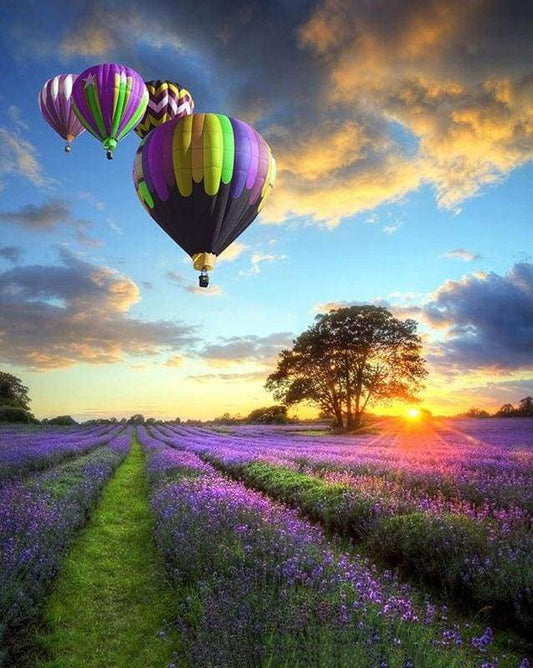 Mongolfiera Sui Campi Viola Diamond Painting